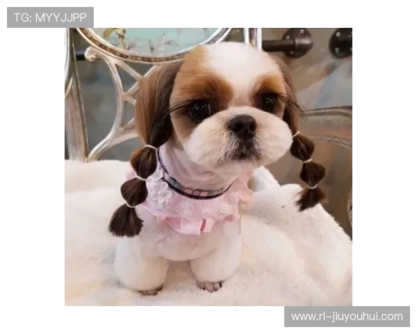 呆萌足球球星大集合：盘点那些萌态十足却实力不凡的球场小可爱